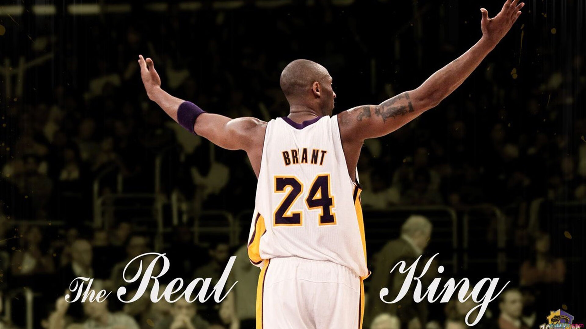 热火老将洛瑞宣布退役，结束17年辉煌职业生涯，洛瑞与热火的合同